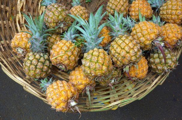 Ananas baby