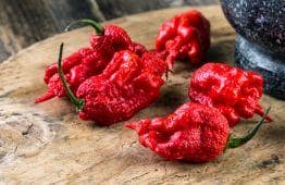 papryka Carolina Reaper