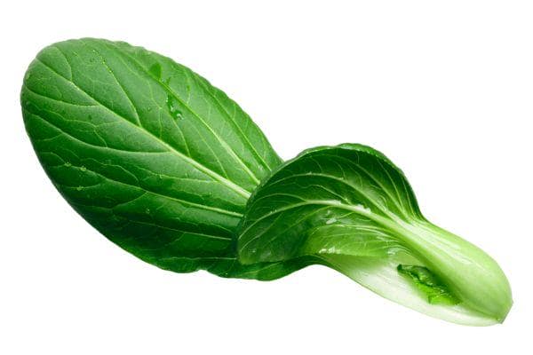 Pak choi