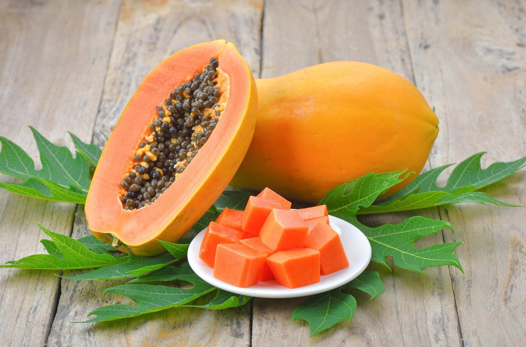 Papaya