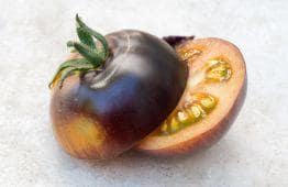 pomidor czarny